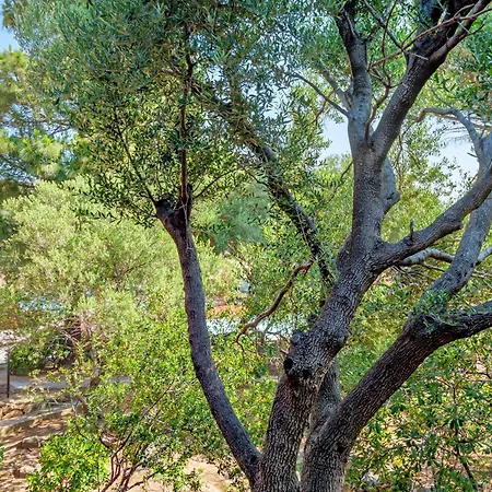 Casa Tramontana 2414 קוניאנה